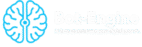 Logo Bot-Engine
